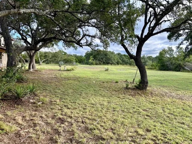 a view of a green field with lots of trees in the background