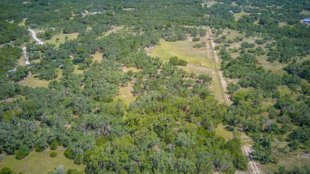 a view of a green field with lots of bushes
