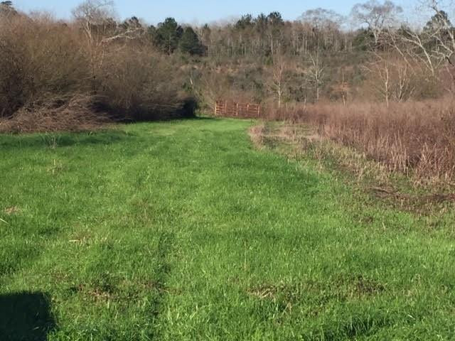 305 Hunt Road Foxworth, MS 39483 - Photo 1 of 9 Main View