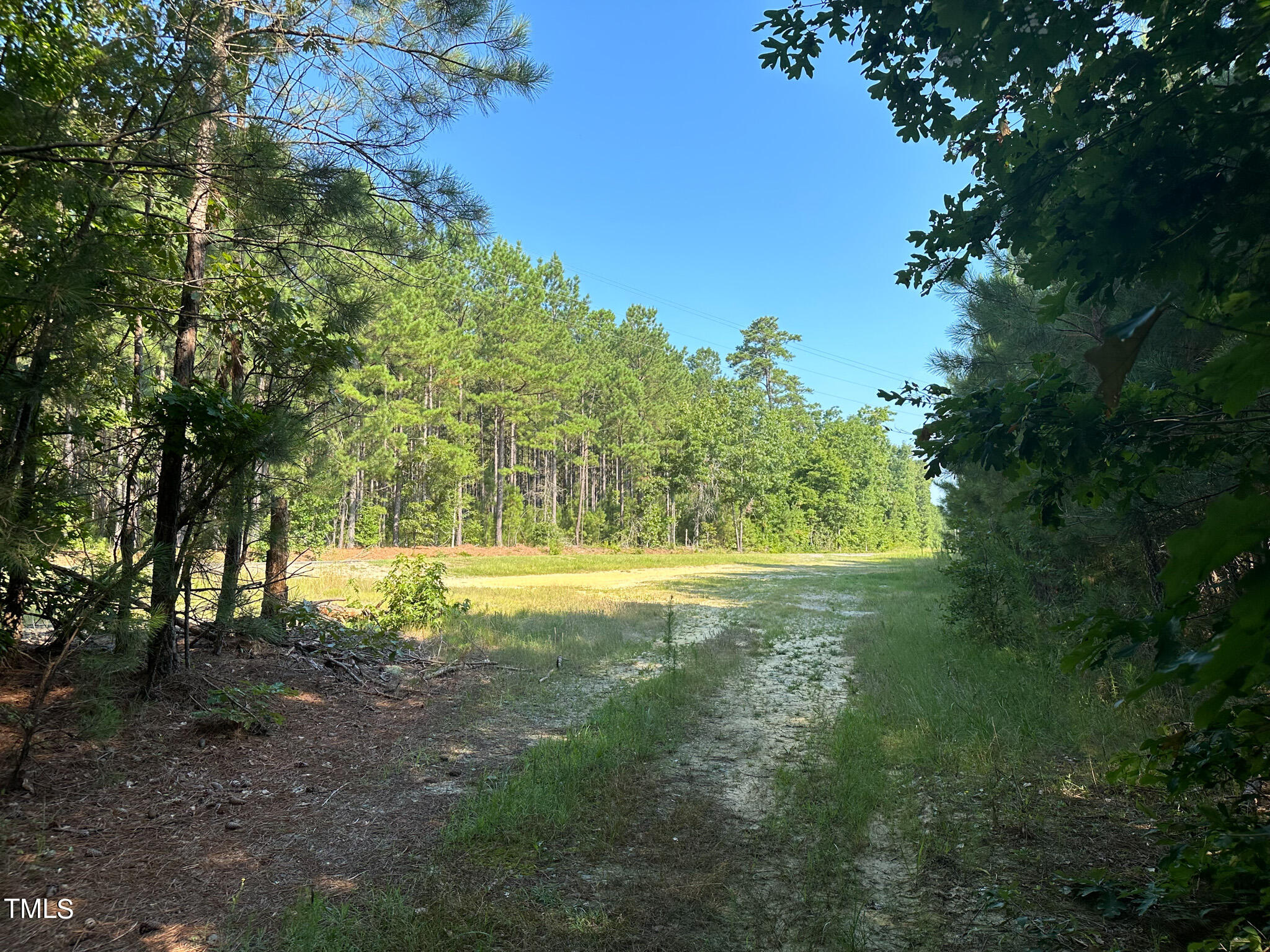0 McDuffie Road Biscoe, NC 27209 - Photo 12 of 19 Pic 12 McDuffie Road
