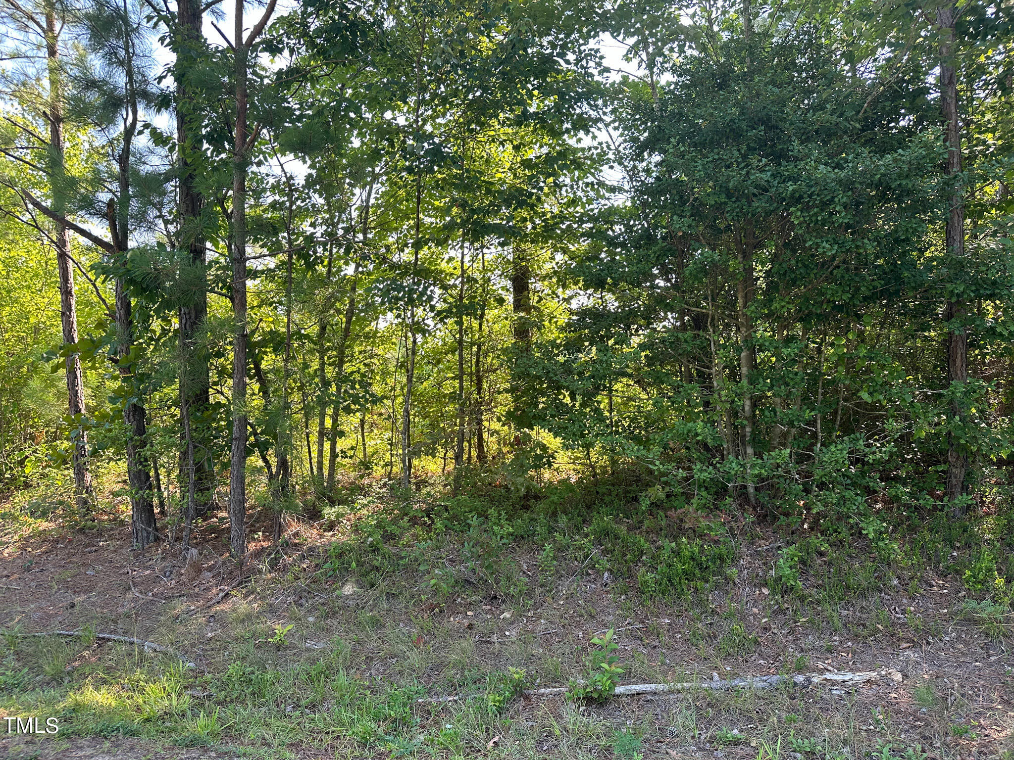 0 McDuffie Road Biscoe, NC 27209 - Photo 19 of 19 Pic 19 McDuffie Road