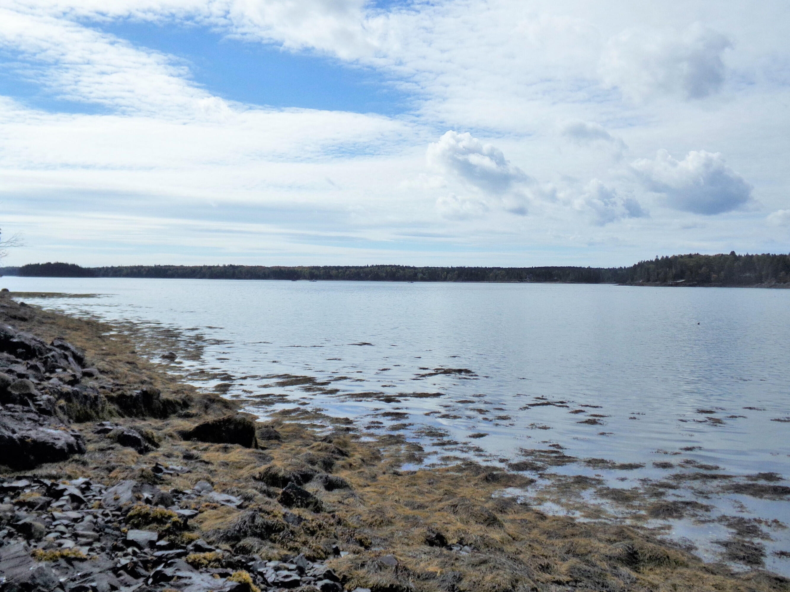 2 Johnson Point Road Orrs Island, ME 04066 - Photo 14 of 20 1jp.135_2210.f