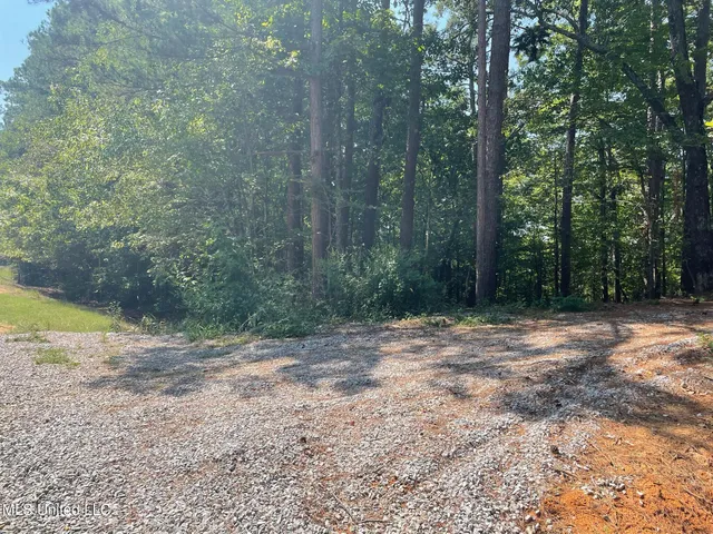 $150,000 | Ms-370, Dumas, MS 38625