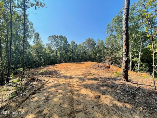$150,000 | Ms-370, Dumas, MS 38625