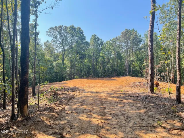 $150,000 | Ms-370, Dumas, MS 38625