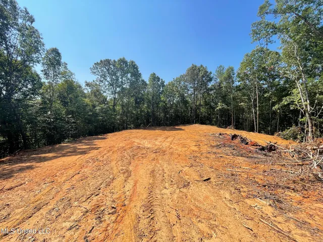 $150,000 | Ms-370, Dumas, MS 38625