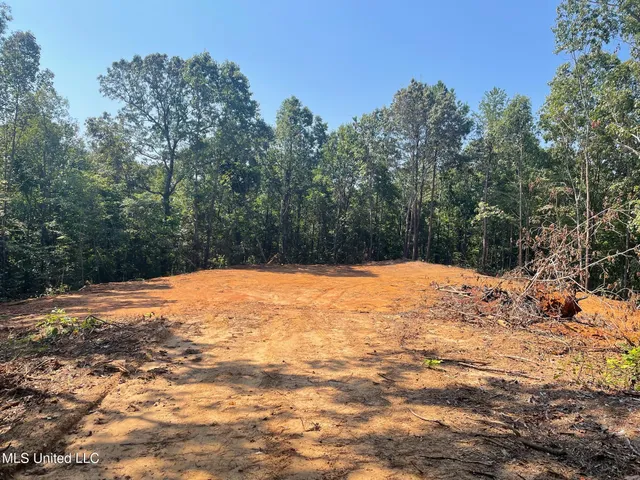 $150,000 | Ms-370, Dumas, MS 38625