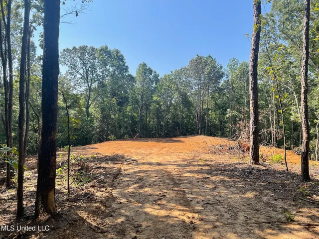 $150,000 | Ms-370, Dumas, MS 38625