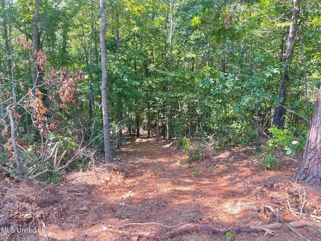 $150,000 | Ms-370, Dumas, MS 38625