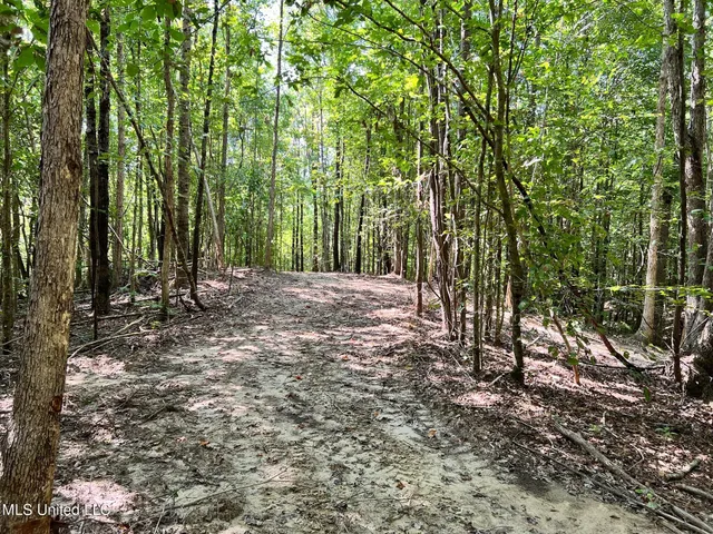 $150,000 | Ms-370, Dumas, MS 38625