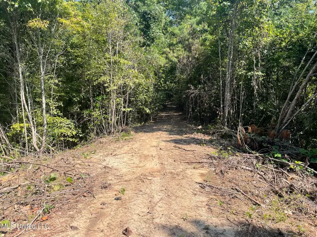 $150,000 | Ms-370, Dumas, MS 38625