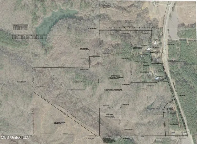 $150,000 | Ms-370, Dumas, MS 38625