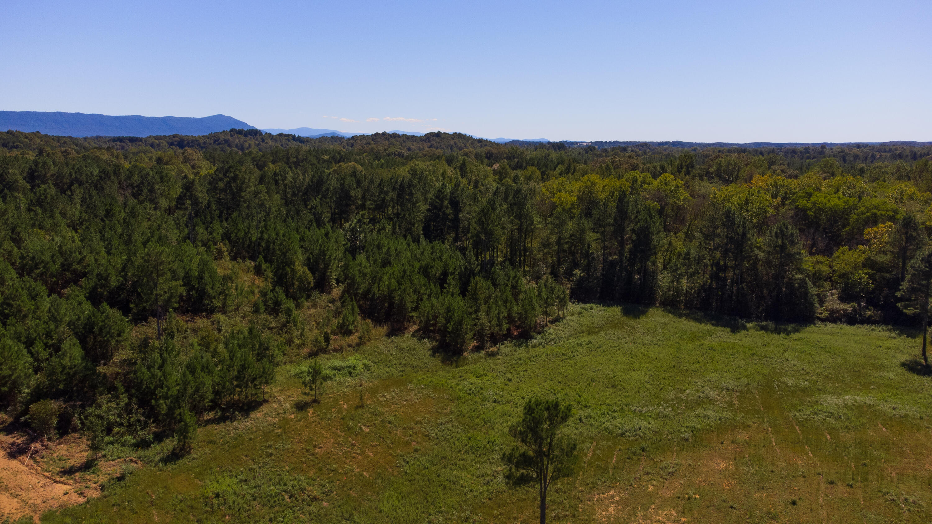 12 Athens Road Delano, TN 37325 - Photo 1 of 28 CHestuee 12 13 meet
