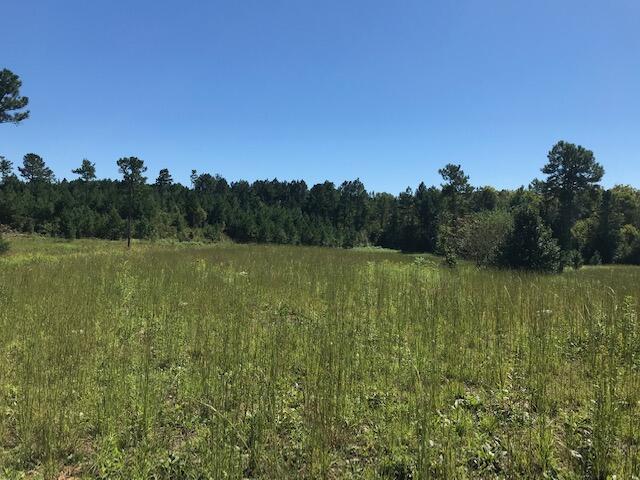12 Athens Road Delano, TN 37325 - Photo 13 of 28 CHestuee 12 7