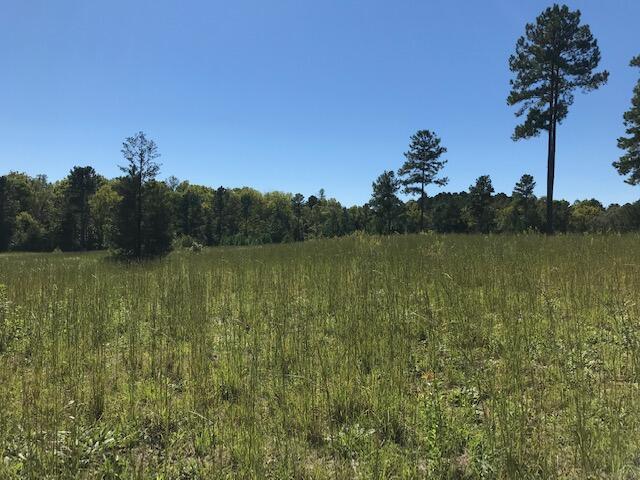12 Athens Road Delano, TN 37325 - Photo 14 of 28 Chestuee 12 8