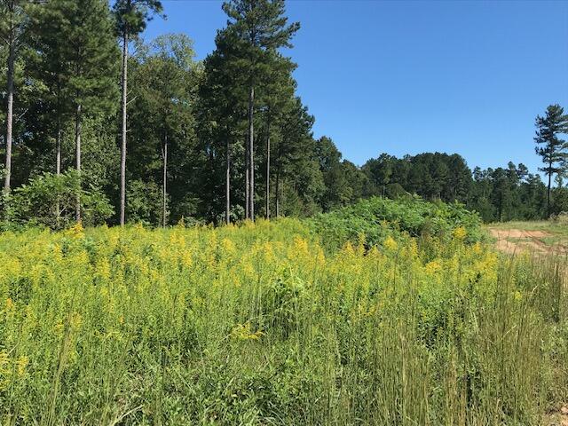 12 Athens Road Delano, TN 37325 - Photo 16 of 28 CHestuee 12 across drive