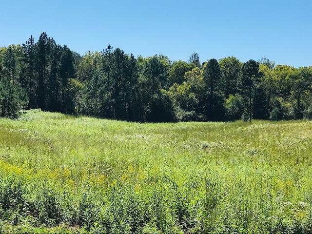 12 Athens Road Delano, TN 37325 - Photo 17 of 28 Chestuee 12 meadow