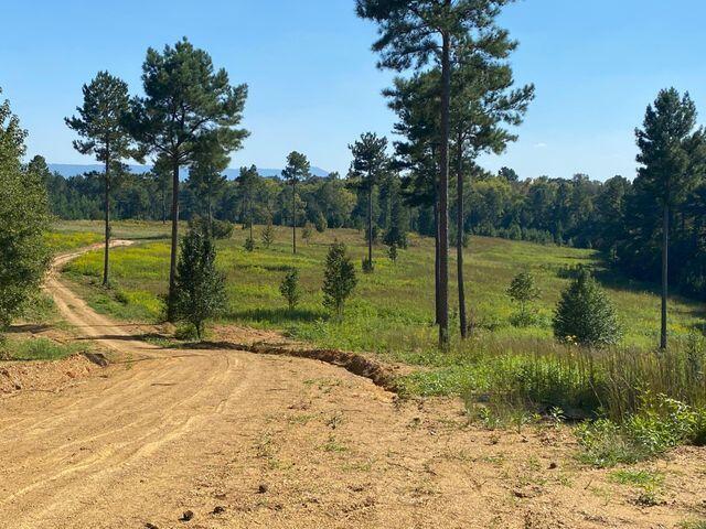 12 Athens Road Delano, TN 37325 - Photo 27 of 28 new 12 11