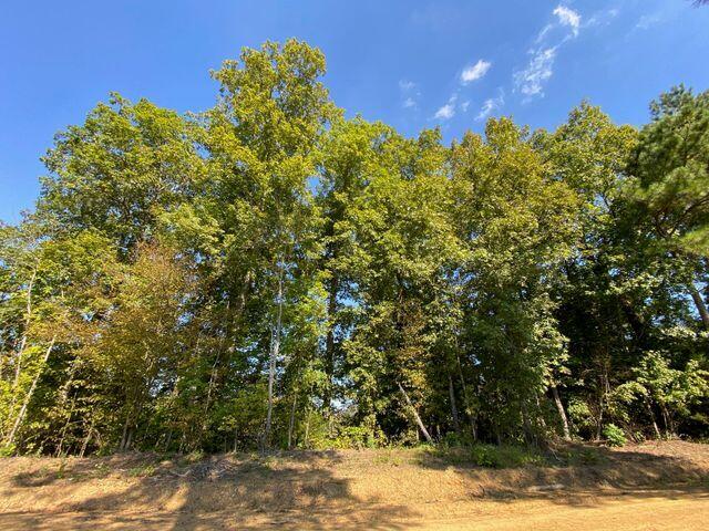 12 Athens Road Delano, TN 37325 - Photo 28 of 28 New 12 hardwoods
