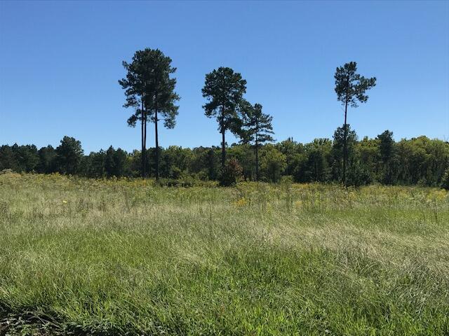 12 Athens Road Delano, TN 37325 - Photo 5 of 28 CHestuee 12 10