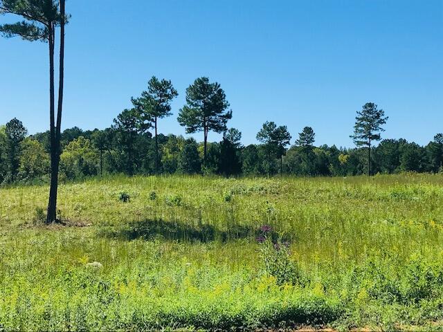 12 Athens Road Delano, TN 37325 - Photo 10 of 28 CHestuee 12 4