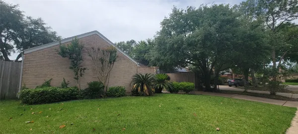 a view of a backyard with plants and large trees