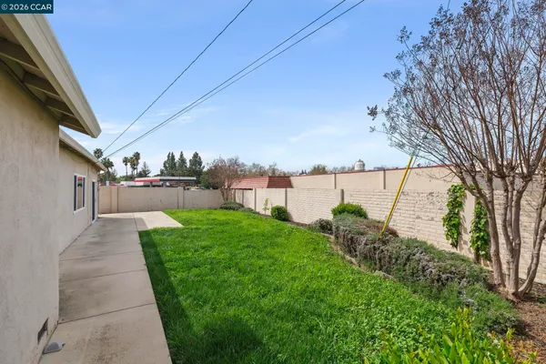 a view of a backyard with pathway