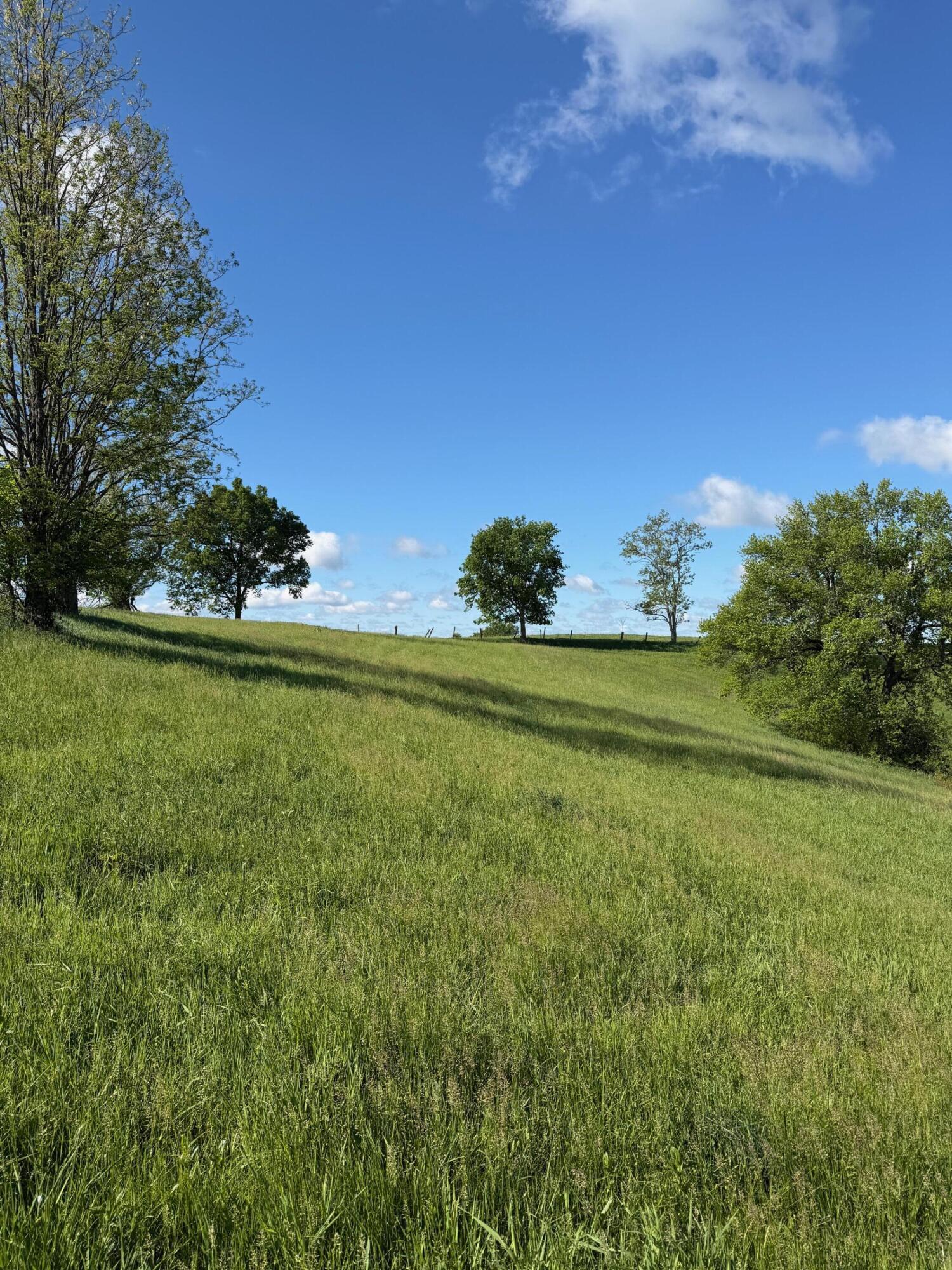 11.19-ac Chipman Ridge Road Williamstown, KY 41097 - Photo 8 of 12