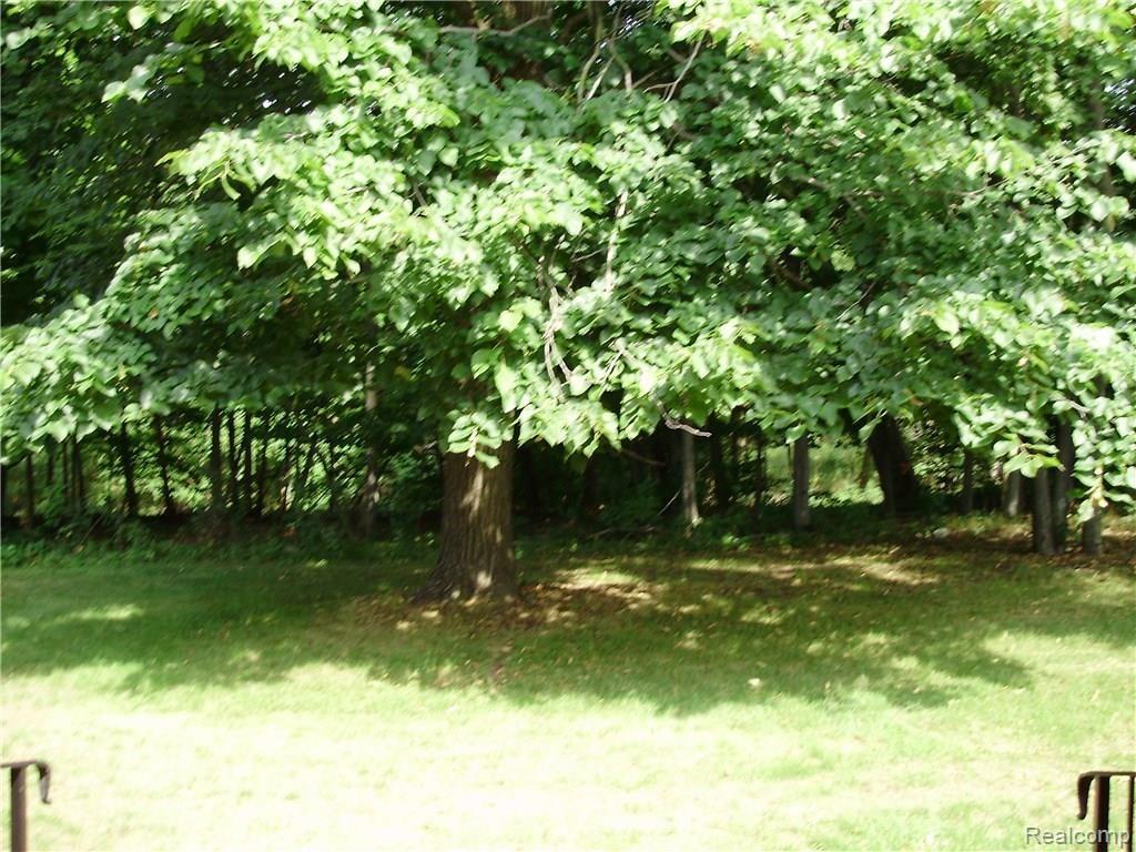 1810 Reis Court, Unit 173 Rochester, MI 48309 - Photo 18 of 20 P8110957.JPG