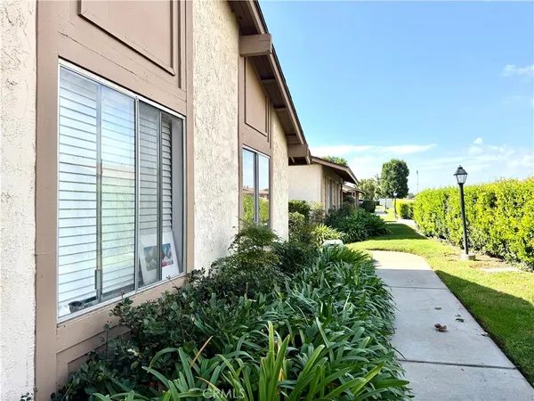 a view of a back yard