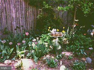 593 Hansell Road Wynnewood, PA 19096 - Photo 4 of 4 a view of flowers in a garden