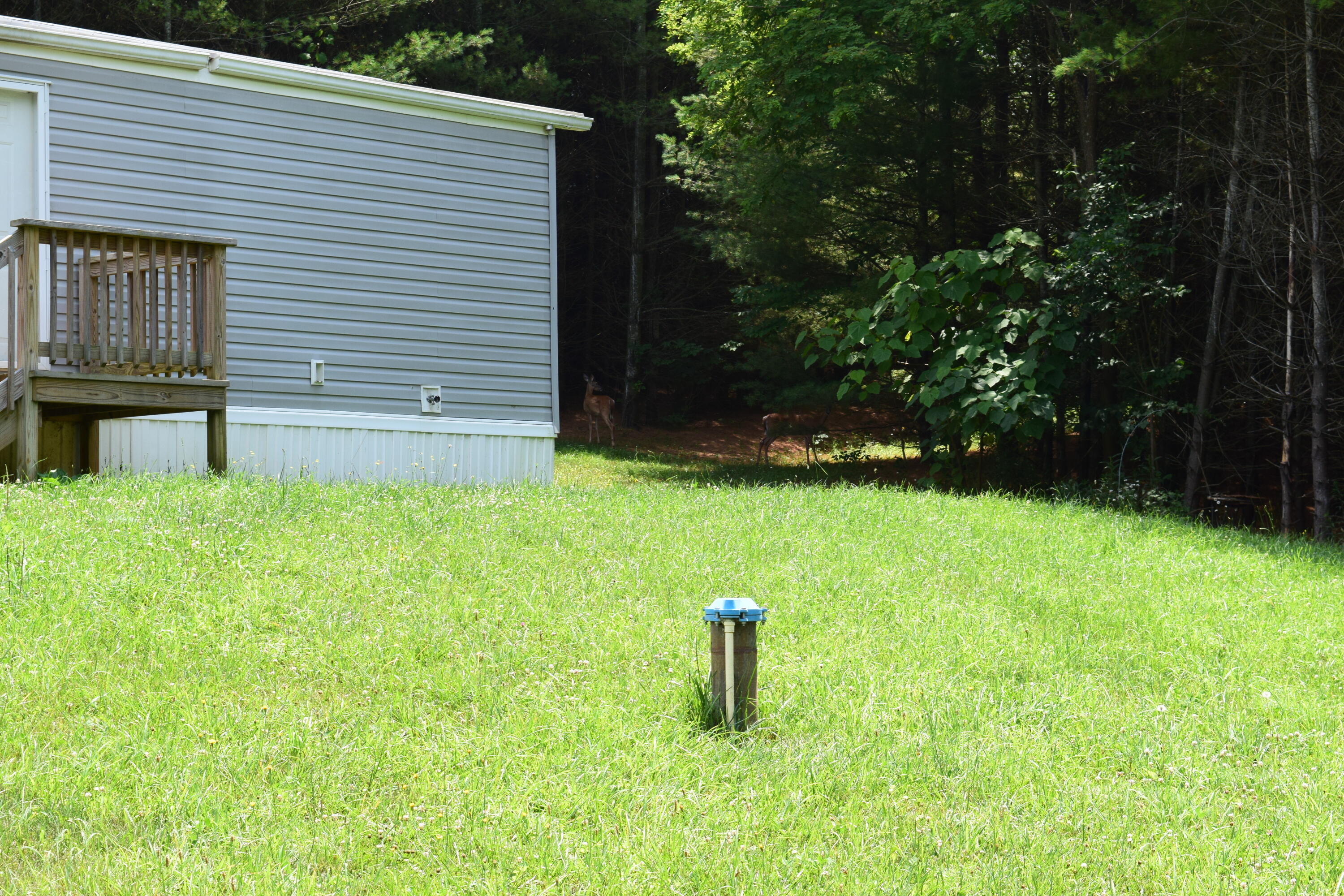 252 Reece Road Southwest Willis, VA 24380 - Photo 6 of 37 DSC_0092