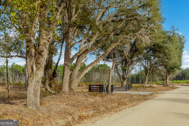 $451,500 | Lot 14 Bennett Grooms Road, Brooklet, GA 30415