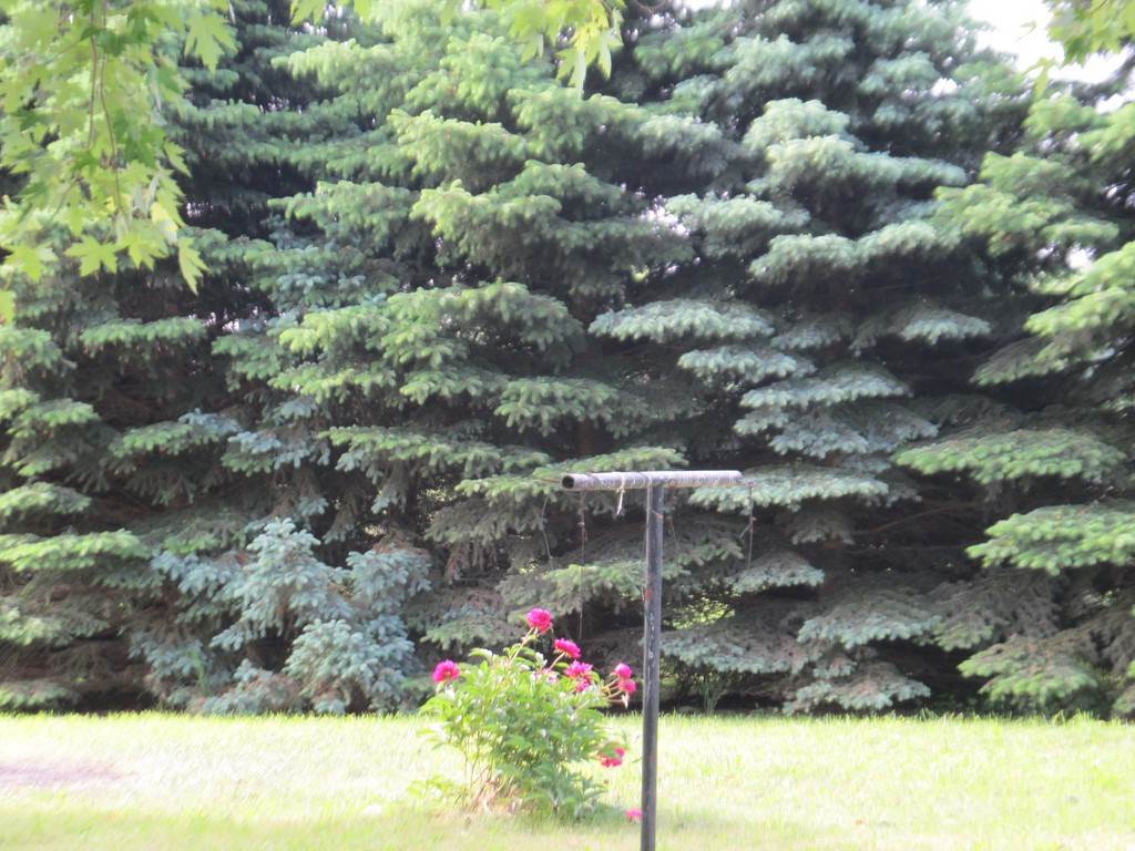 1050 East Millbrook Road Mount Pleasant, MI 48858 - Photo 10 of 37 1801321-9.JPG