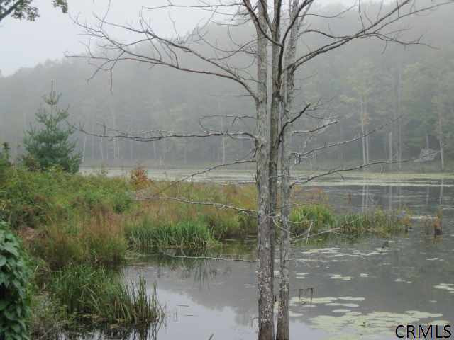 168 Kropp Road Westerlo, NY 12193 - Photo 12 of 13 Photo 12