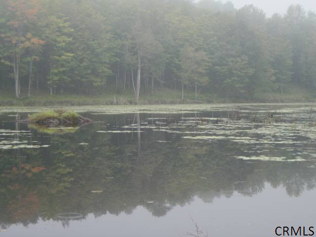 168 Kropp Road Westerlo, NY 12193 - Photo 10 of 13 Photo 10