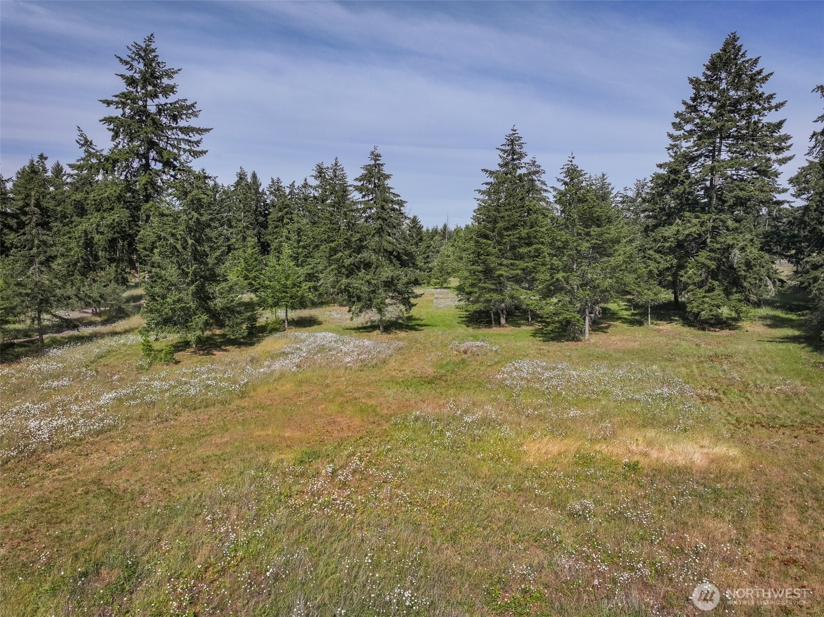 405 Riverside Road, Unit LOT C Sequim, WA 98382 - Photo 2 of 39