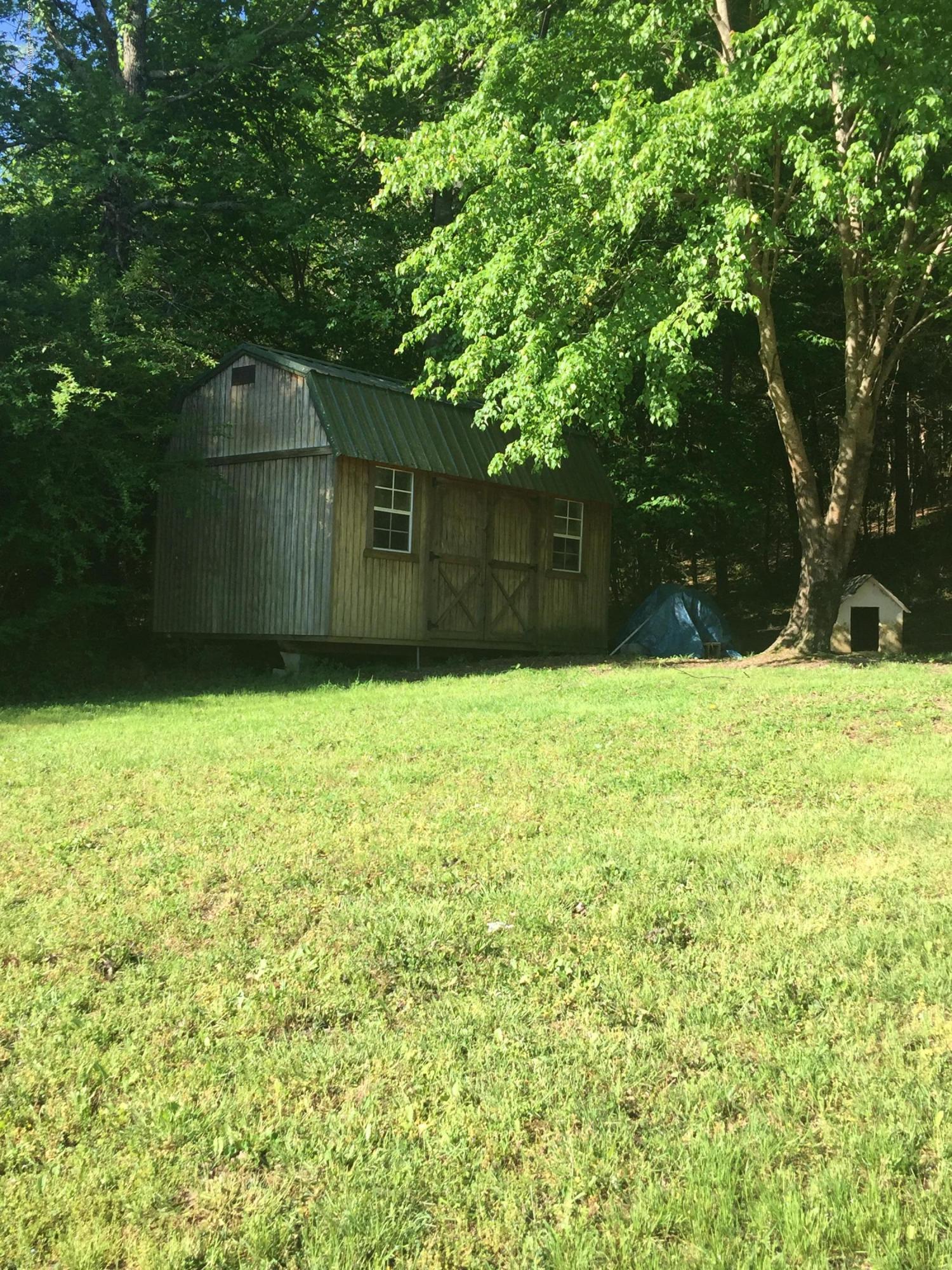 556 Raccoon Creek Road Jasper, AL 35504 - Photo 5 of 10 Gallery Image 5