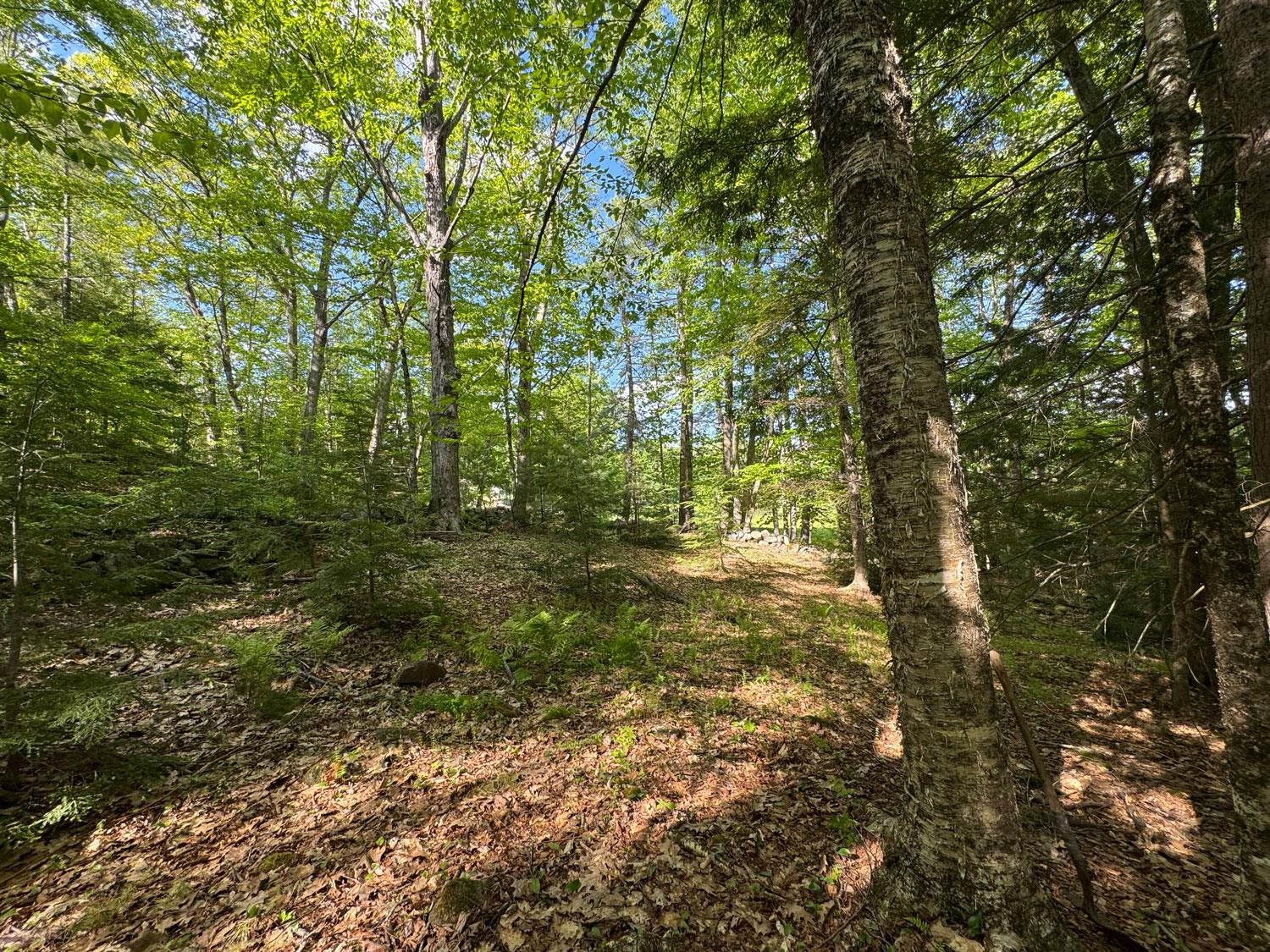 0 Peaked Hill Road Bristol, NH 03222 - Photo 17 of 33
