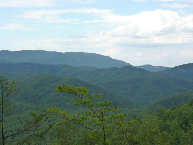 94 Long Rifle Road Walland, TN 37886 - Photo 8 of 15 P1050415