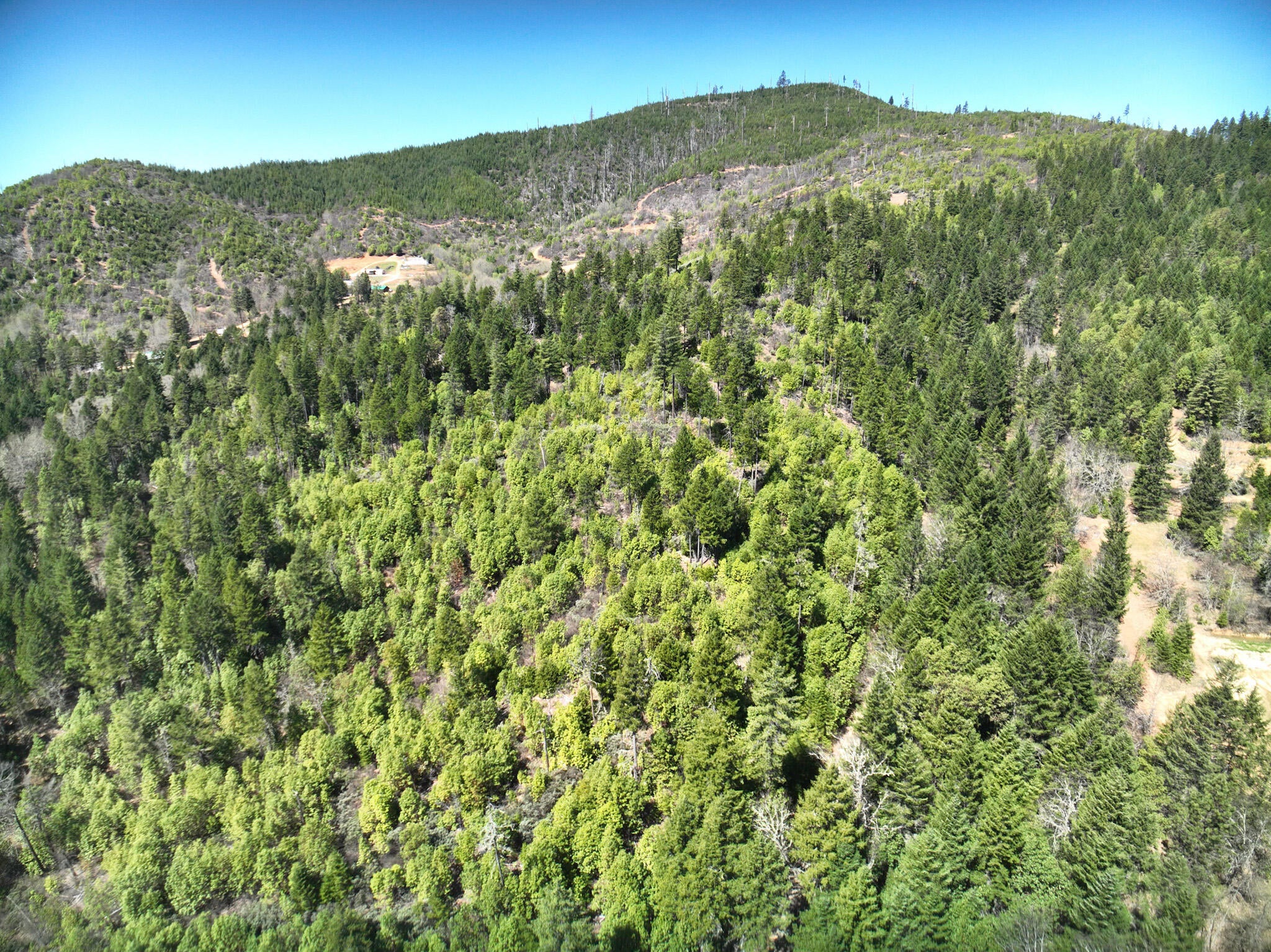 1000 Crooks Creek Road Selma, OR 97538 - Photo 19 of 28 19