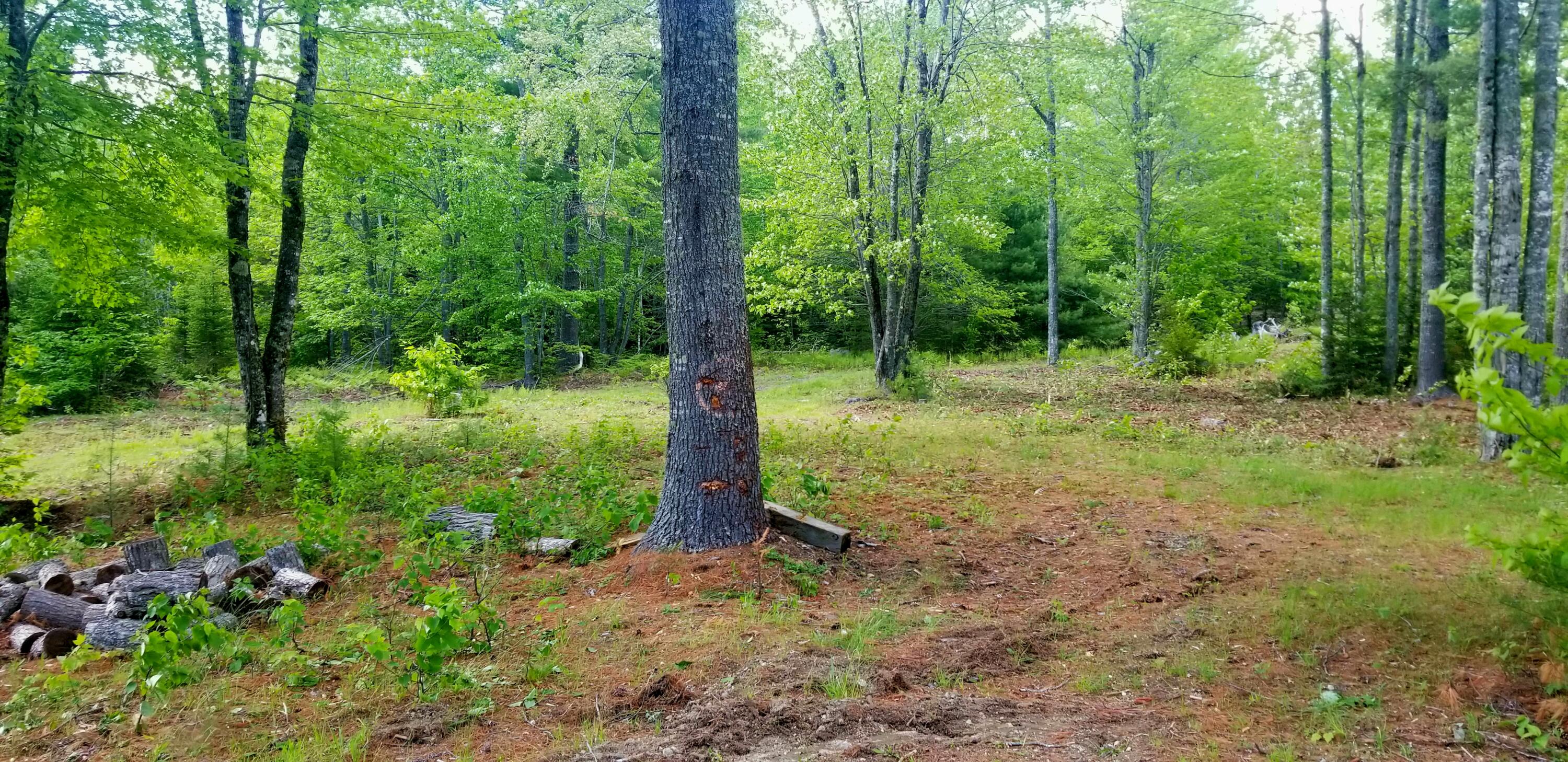 M112-l007 Bangor Road Ellsworth, ME 04605 - Photo 12 of 26 20210601_210154