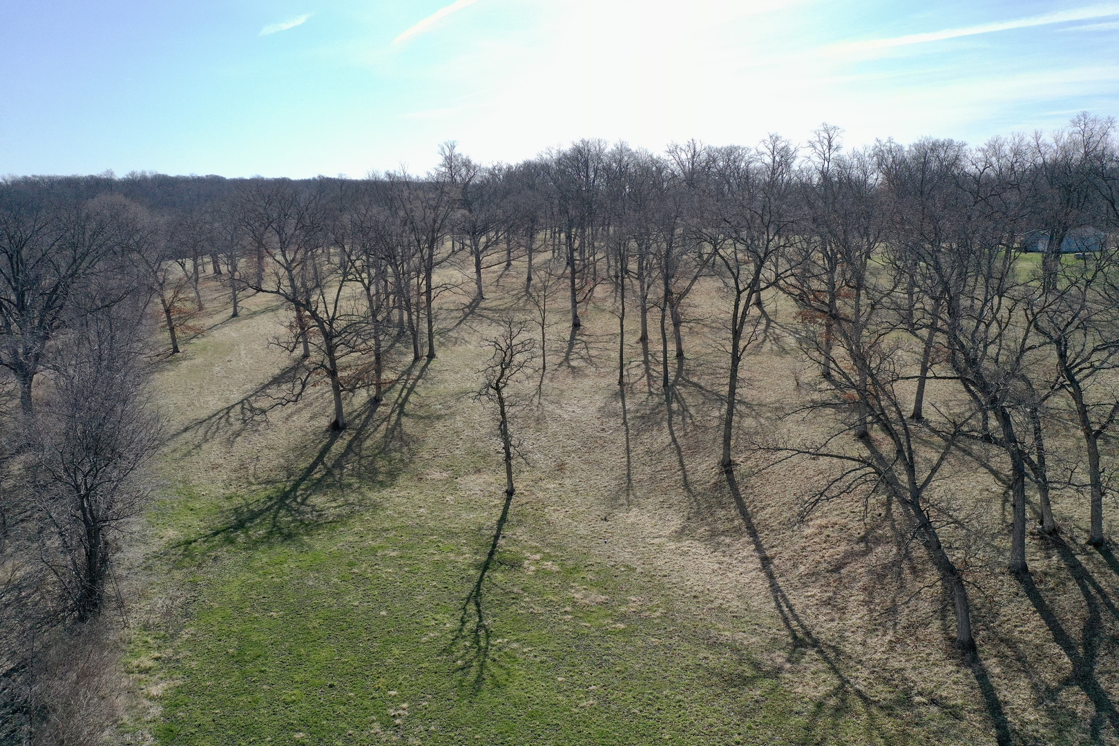 0 North Meridian Road Chana, IL 61015 - Photo 9 of 26 a view of a yard with large trees