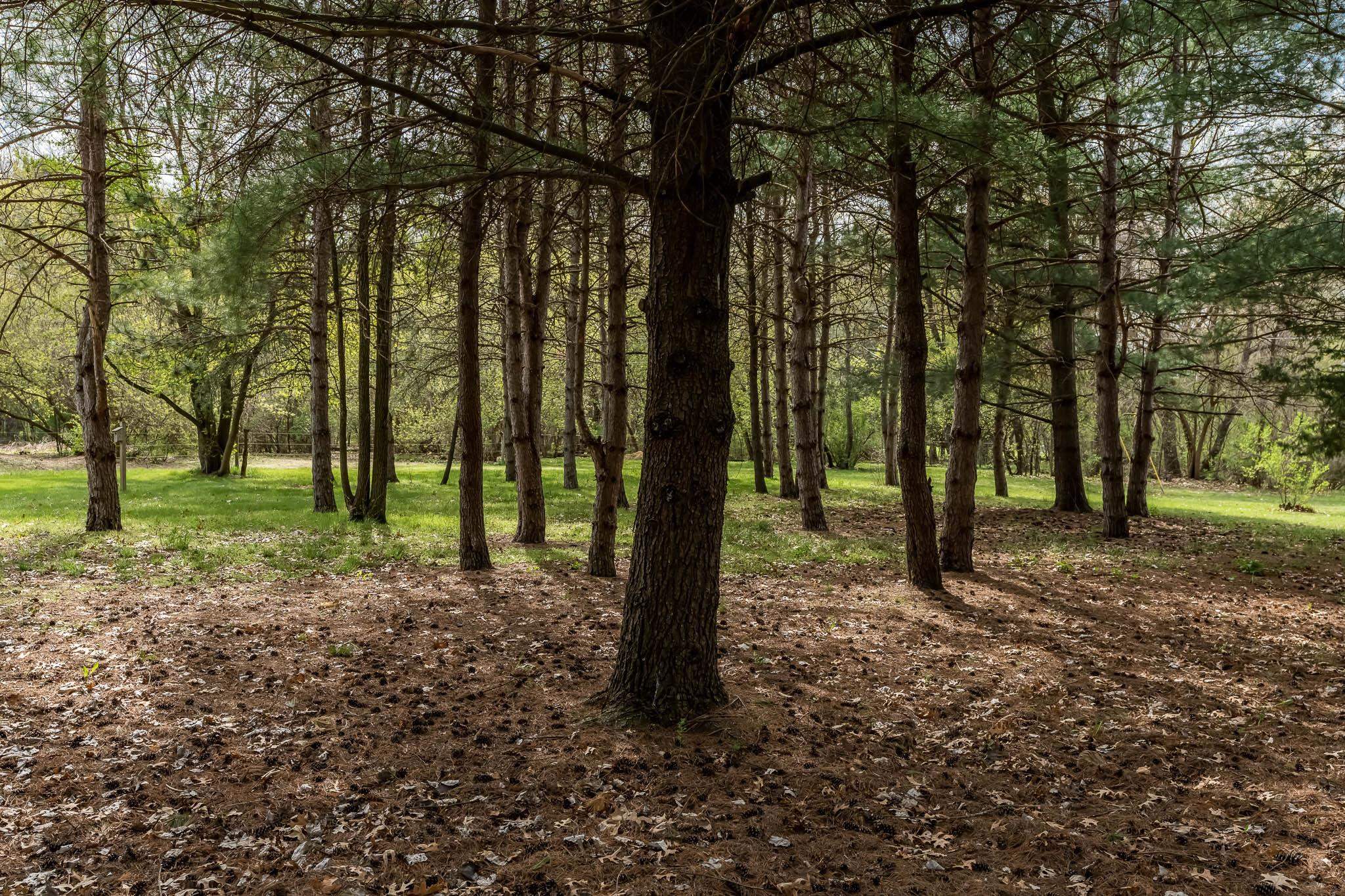 14795 Hansberry Road Rockton, IL 61072 - Photo 12 of 32 a view of outdoor space with lots of trees