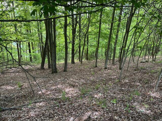 L9 Harrington Road Gilboa, NY 12076 - Photo 11 of 27 IMG_5395