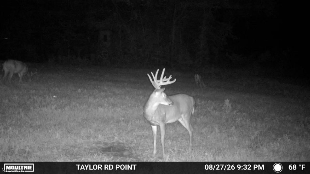Taylor Road Dennison, OH 44621 - Photo 46 of 48 Gallery Image 46