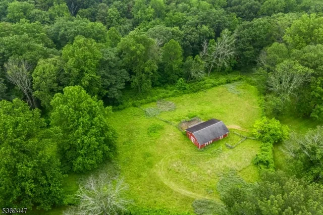 a view of a lush green forest