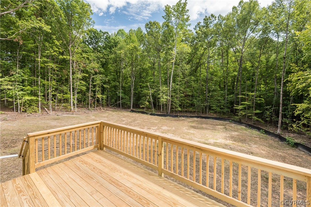 2650 Davis Mill Road Goochland, VA 23063 - Photo 33 of 36 Gallery Image 33