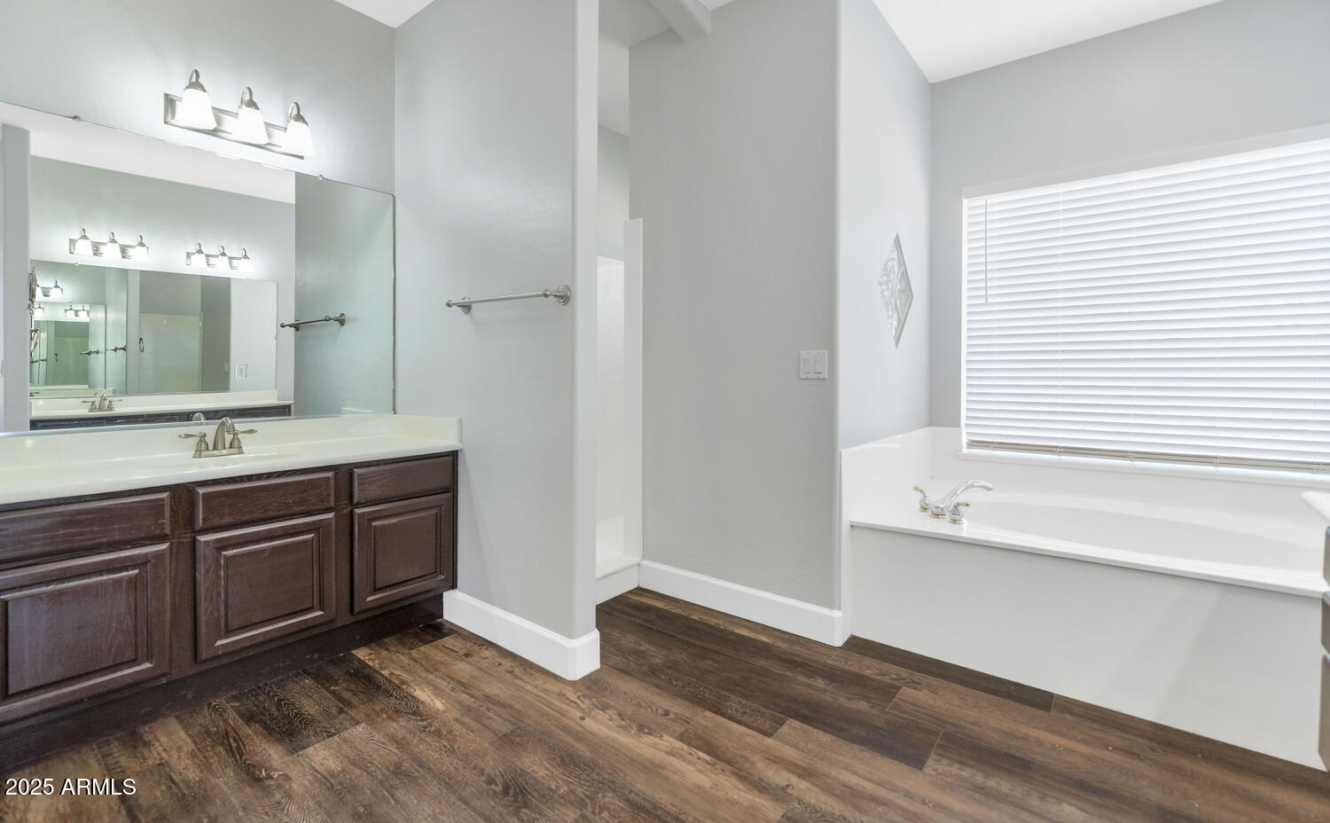 15224 East Via Del Rancho Gilbert, AZ 85298 - Photo 19 of 35 Primary Bath