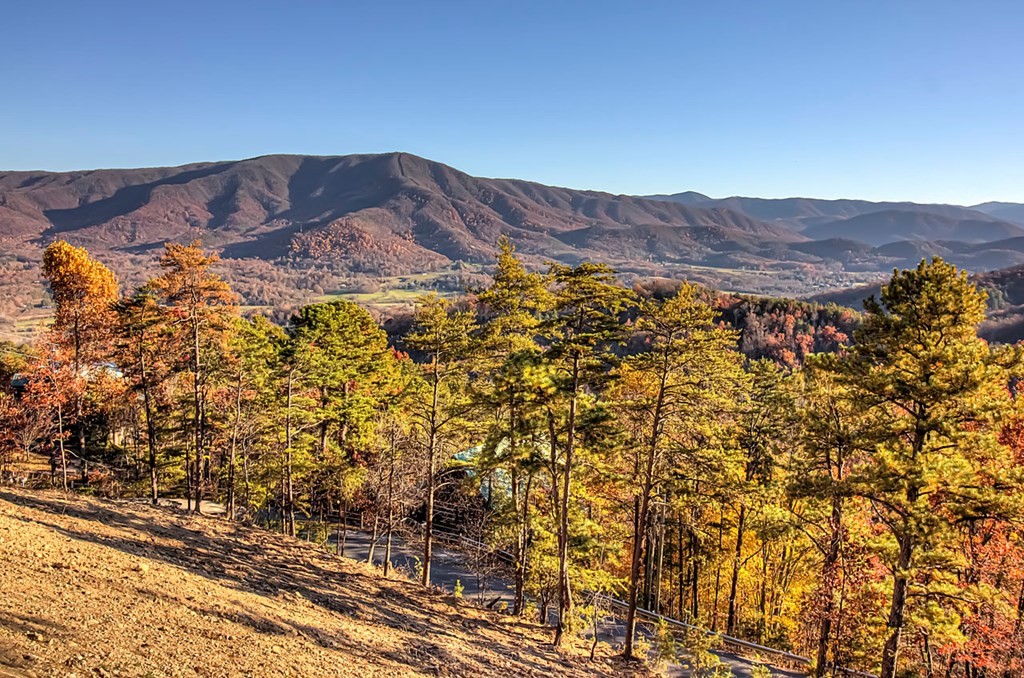 2610 Hatcher Mountain Road Sevierville, TN 37862 - Photo 72 of 72 Gallery Image 72